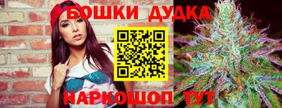 индика Малоярославец