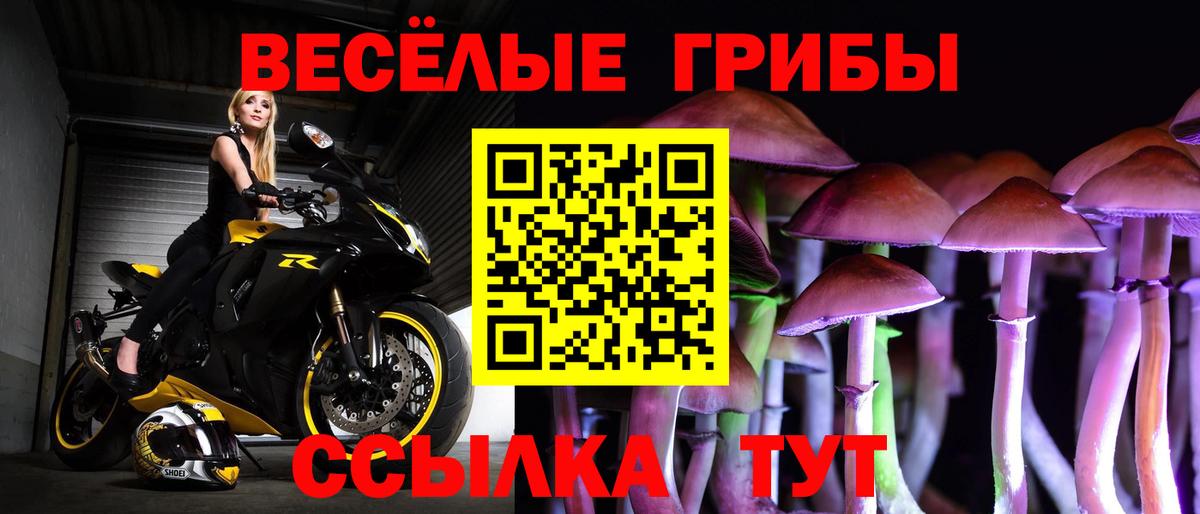 Псилоцибиновые грибы GOLDEN TEACHER Знаменск
